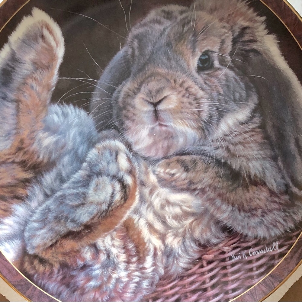 🆕 vintage plate Collectors bunny plate🐰 titled “footloose”Bradford exchange🐇